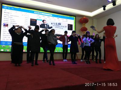 2017年春节晚会